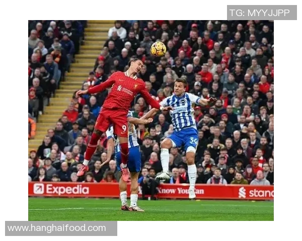 莱切特城主场迎战布莱顿双方争夺英超宝贵积分之战