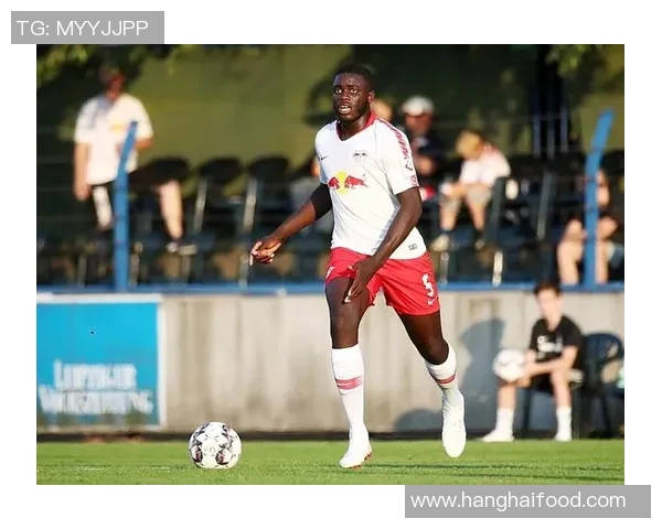 莱比锡对赫根比赛结果分析与预测展望