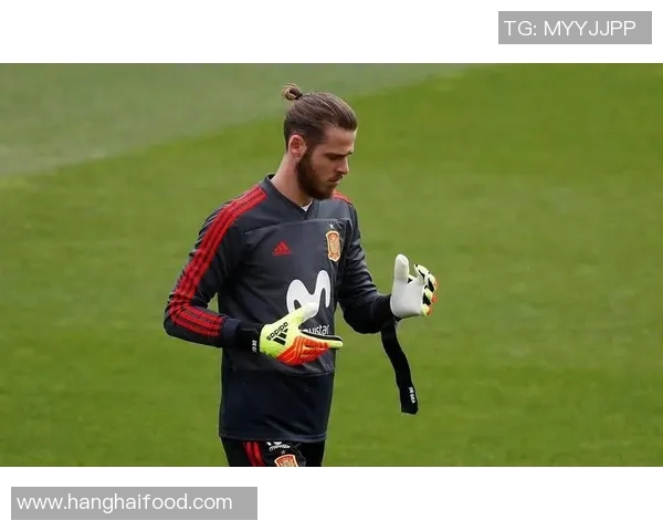 西班牙与瑞士激战六月四日谁将赢得这场精彩对决 西班牙与瑞士激战六月四日谁将赢得这场精彩对决