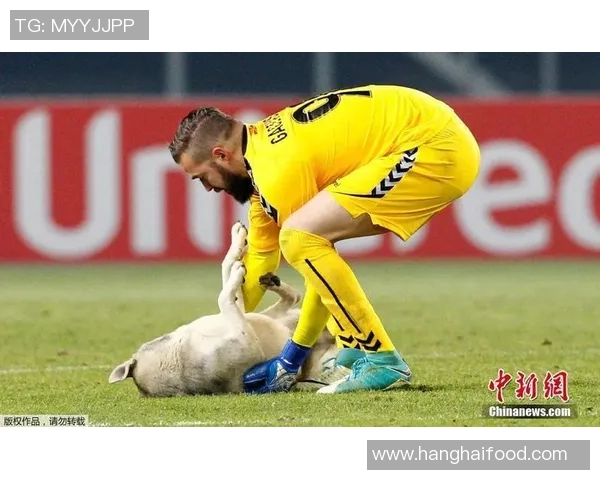 塞内加尔与乌克兰激战正酣谁能在国际赛场上笑到最后