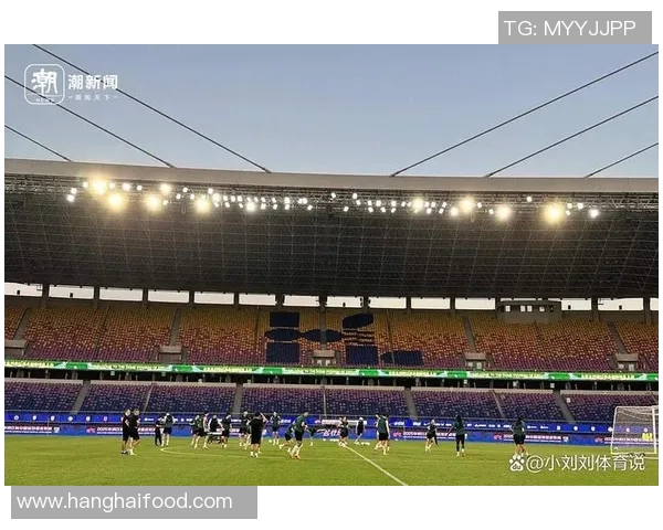 2008年申花与绿城激战回顾：经典对决中的激情与荣耀