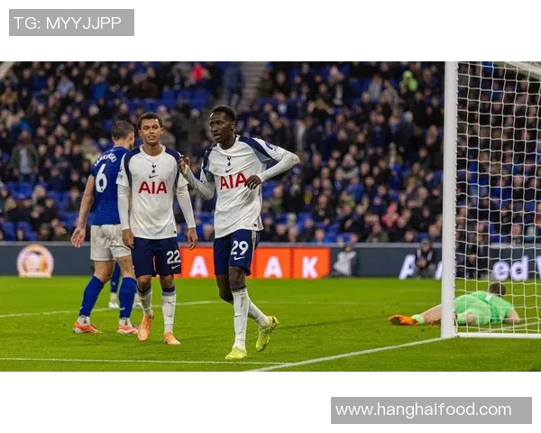 2019年埃弗顿对阵热刺精彩直播回顾与赛后分析 2019年埃弗顿对阵热刺精彩直播回顾与赛后分析