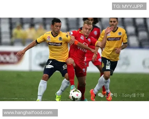 墨尔本城与悉尼FC对决分析及比赛前瞻探讨