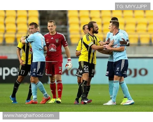 惠灵顿凤凰主场迎战中部海岸海员争夺联赛积分全力以赴展现实力