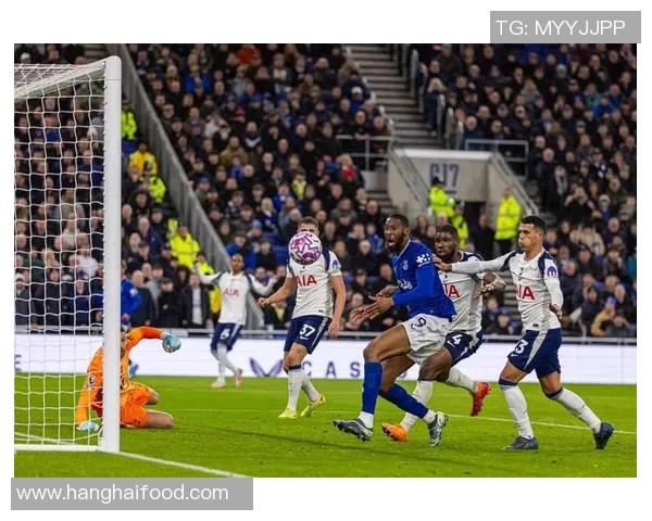 热刺与埃弗顿精彩对决集锦回顾赛场瞬间尽显足球魅力与激情