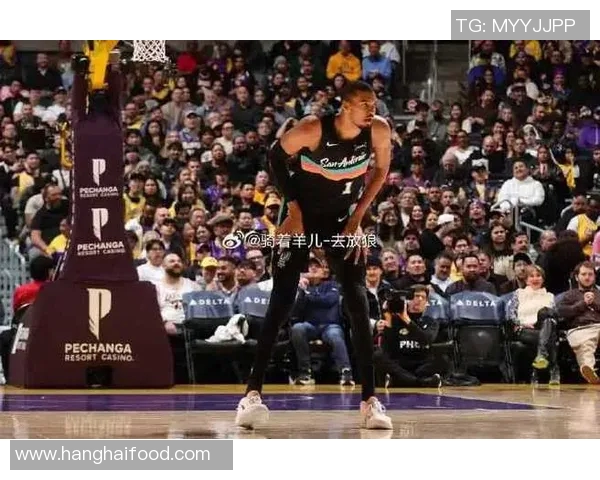 湖人对决马刺精彩回顾赛季关键战役的背后故事与球员表现分析