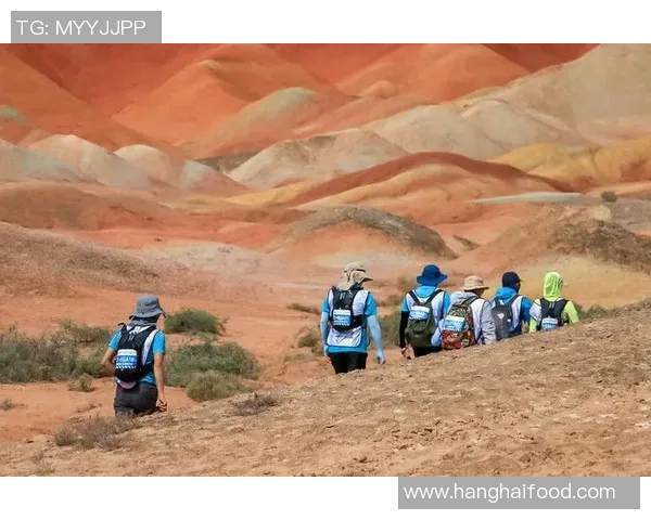 对话吴娜：回顾乒乓球生涯的辉煌与挑战之路MBA