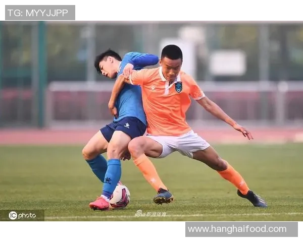 北京排球队在新赛季中的战术调整与球员表现的得失分析MBA