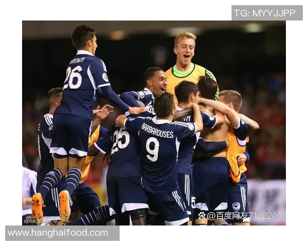 墨尔本胜利对阵首尔精彩视频回顾与赛后分析分享