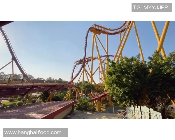 广州滑板队个人能力表现数据分析与提升策略探讨MBA