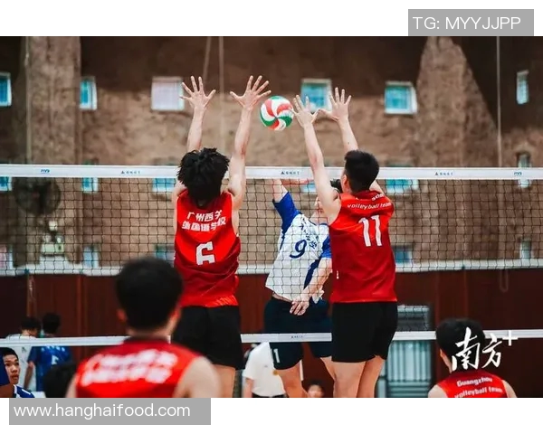 广州排球队在排球状态排行榜中荣登第九名展现出强劲实力与潜力