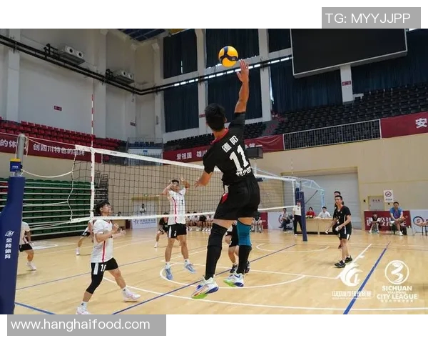 成都排球队实力分析与发展前景探讨聚焦排球运动的未来潜力MBA 成都排球队实力分析与发展前景探讨聚焦排球运动的未来潜力MBA