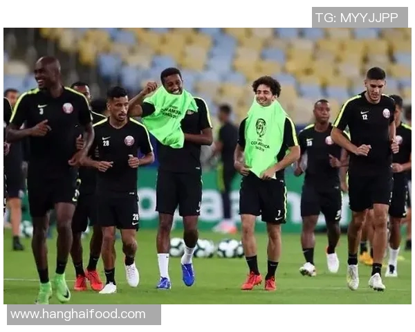 日本与巴拉圭足球赛比分预测及分析展望