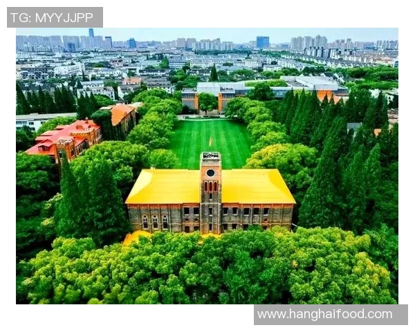 杭州排球队的控制革新探索与实践全景解析MBA