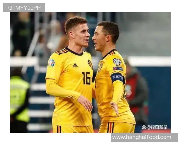 比利时与日本足球对决前瞻分析及赛前预测全面解读