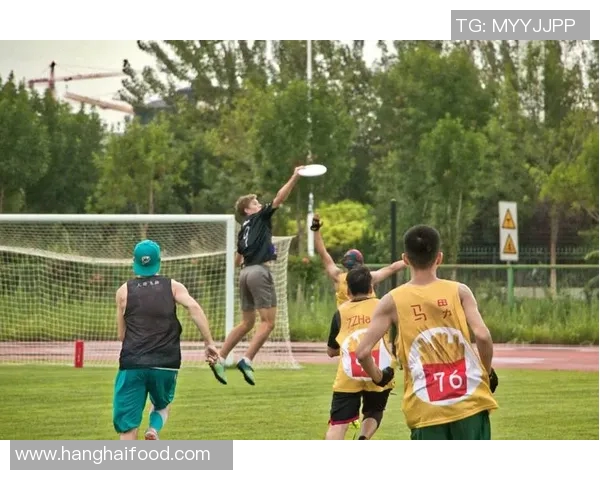 飞盘专题：深入探讨杭州飞盘队的耐力训练与竞技表现