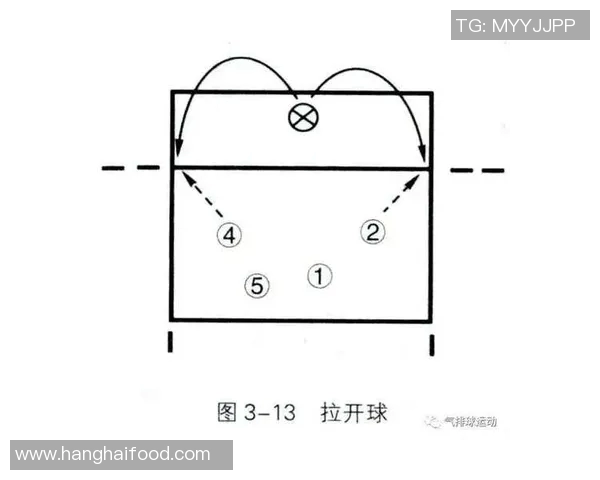 重庆乒乓球队快攻战术解析与实战应用探讨
