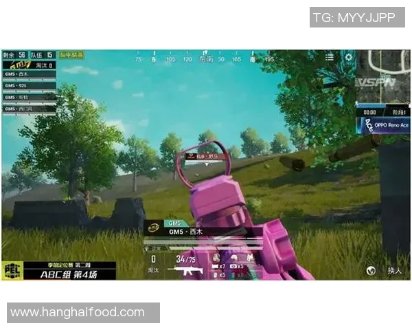 和平精英专题深入解析TES团队协作策略与战术配合之道