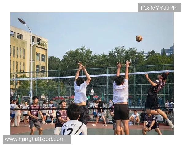 成都排球队在全国排球比赛经验排行榜中荣获第4名的辉煌成就解析