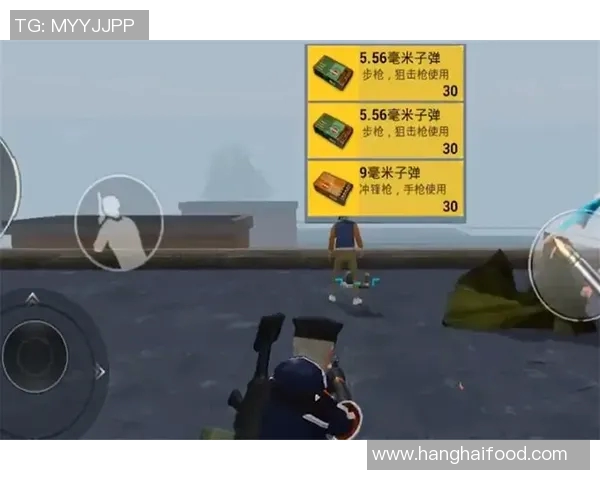 赵军独家揭秘和平精英游戏技巧与心得分享助你轻松上分